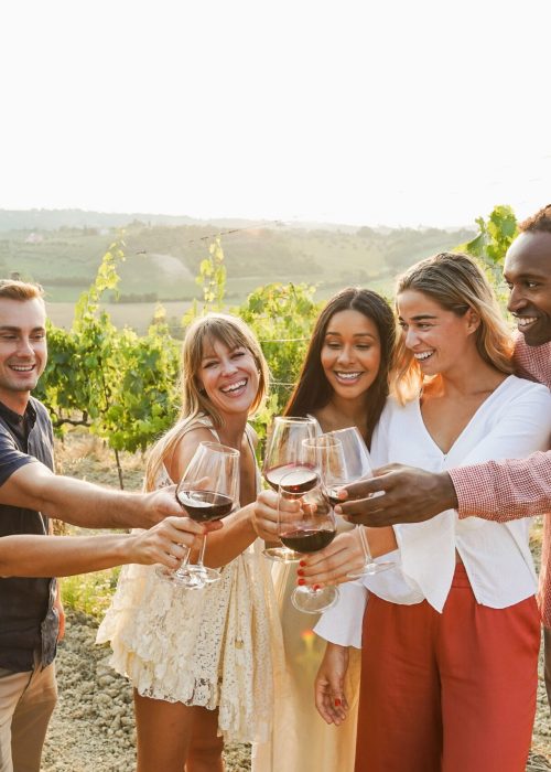 Happy,Friends,Cheering,With,Red,Wine,At,Countryside,Summer,Event